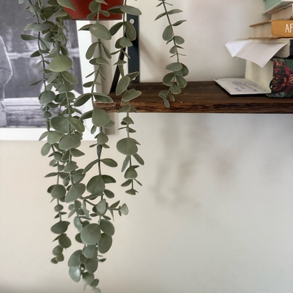 Trailing Faux Greenery in Orange Planter - Picture 5 of 5